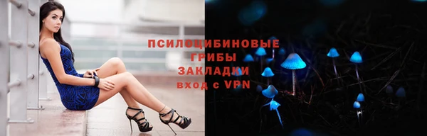 МДПВ Остров