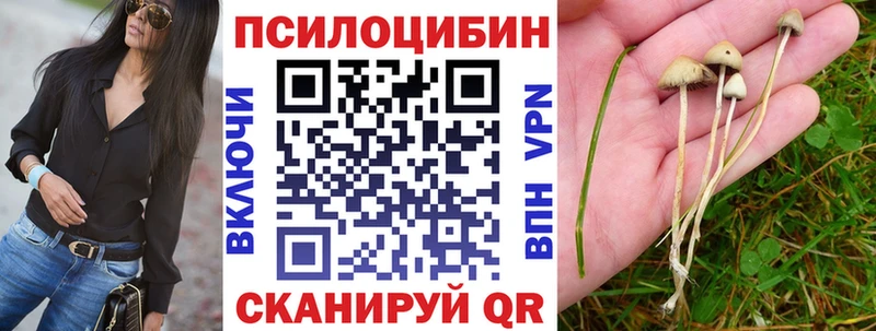Галлюциногенные грибы Psilocybe  закладки  Анадырь 